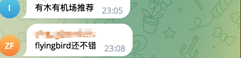 飞鸟机场推荐用户评价2